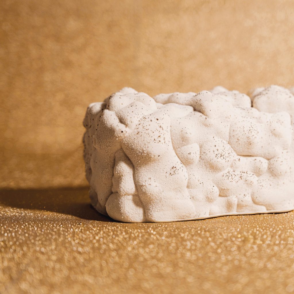 Bûche signature créer par Jean-François Feuillette