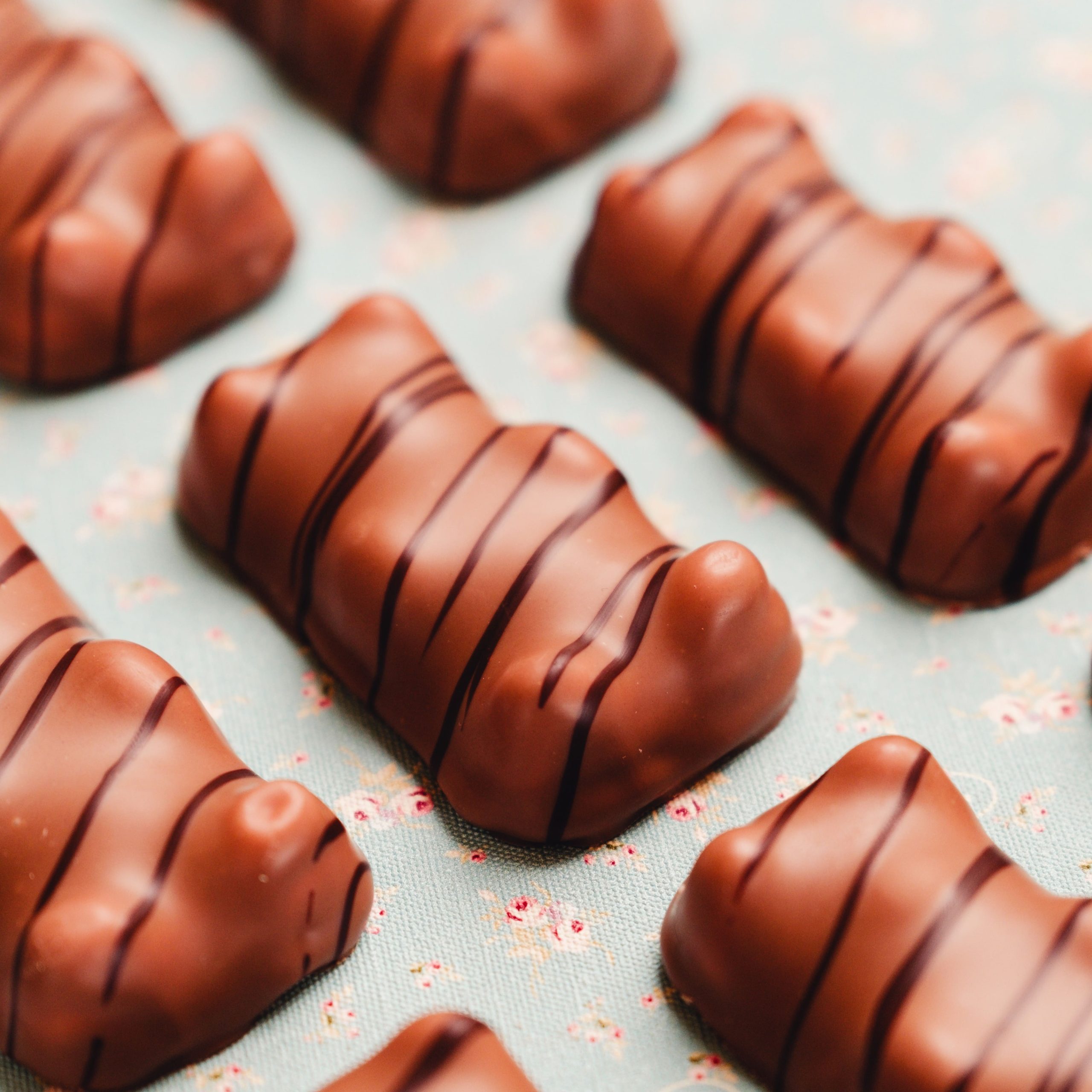 ourson praliné feuillette